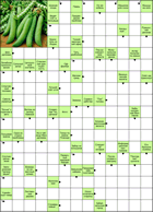 Сканворд № 5897 “Спутник раскаяния” Сканворд № 5897 “Спутник раскаяния”