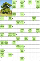 Сканворд № 5935 “Дерево”