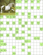 Сканворд № 5948 “Большое количество”