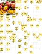 Сканворд № 5984 “Особо яркий метеор”