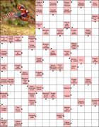 Сканворд № 5987 “Ковёр в сосновом бору”