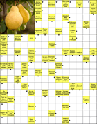 Сканворд № 5990 “Зоопарк Ноя”