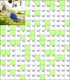 Сканворд № 5977 “Гамак”