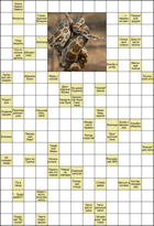 Сканворд № 5974 “Её снимает повар”