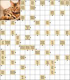 Сканворд № 6016 “Кот”