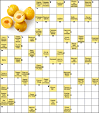 Сканворд № 6050 “Умственное начало”