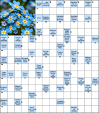 Сканворд № 6053 “Им майоры не командуют”