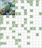 Сканворд № 6056 “Добавка к поводку”