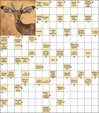 Сканворд № 6077 “Эллин, давший имя морю”