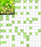 Сканворд № 6083 “Безвыходная ситуация”