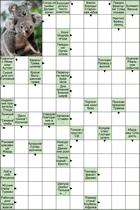 Сканворд № 6114 “Коала”