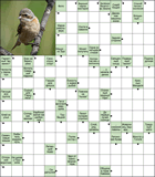 Сканворд № 6098 “Одна из четырёх стихий”