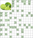 Сканворд № 6110 “Жидкий эталон чистоты”