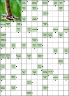 Сканворд № 6093 “Удав”