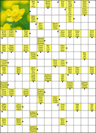 Сканворд № 6105 “Лютик”