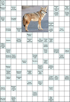 Сканворд № 6117 “Постовой в треухе”