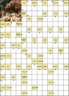 Сканворд № 6174 “Киви”