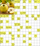 Сканворд № 6155 “На всякий пожарный”