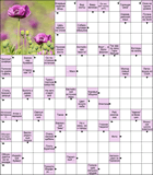 Сканворд № 6158 “Царь верхом на слоне”