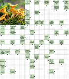 Сканворд № 6164 “Голос попугая Кеши”