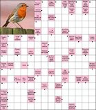 Сканворд № 6176 “Джигит на пенсии”