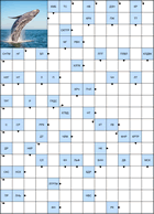 Сканворд № 6168 “Кит”