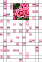 Сканворд № 6153 “Приправа графа Грея”