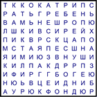 Филворд № 41
