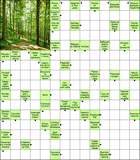 Сканворд № 6191 “Поникший напарник ромашки”