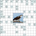 Сканворд № 6205 “Скопа”